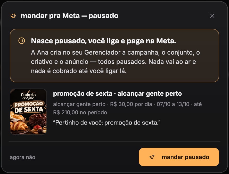 A janela mandar pra Meta, pausado: nasce pausado, você liga e paga na Meta; o anúncio da promoção de sexta, alcançar gente perto, R$ 30,00 por dia.